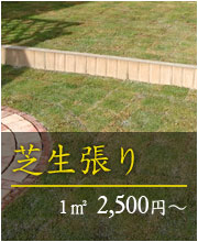 芝生張り