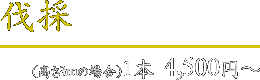 伐採 1本4,500円～(高さ3mの場合)