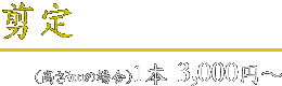 剪定 1本3,000円～(高さ3mの場合)