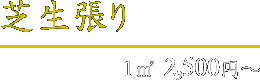芝張り 1平方メートル 2,500円～